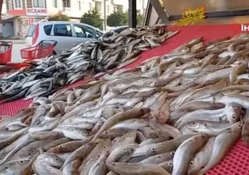 Karadeniz'deki bolluk tezgahlara da yaradı