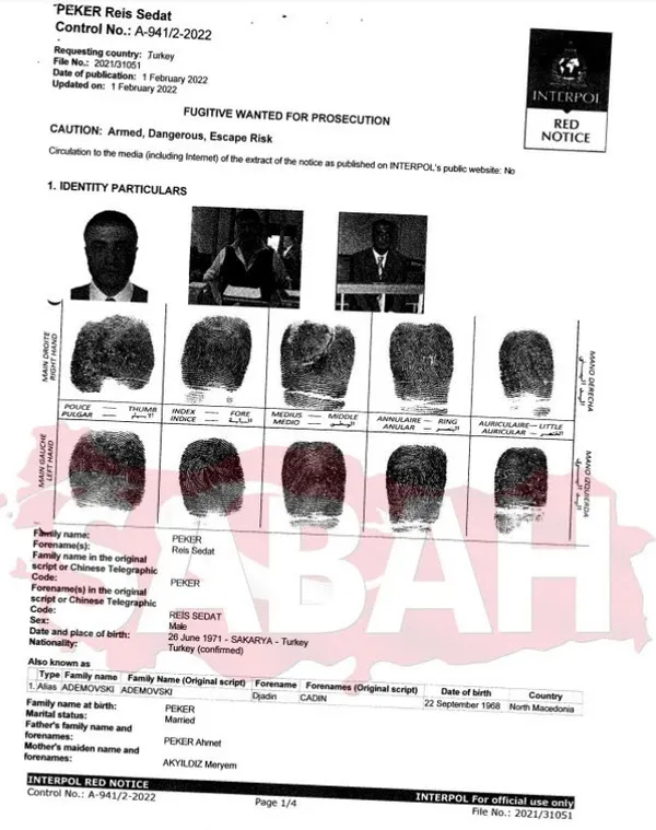 Suç örgütü lideri Sedat Peker'in basın danışmanı Emre Olur İstanbul'a getirildi - 6