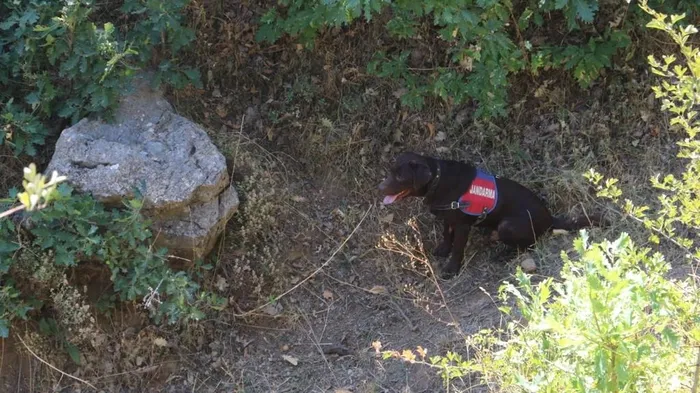 Son dakika: Bakanlık duyurdu! Bitlis’te ’Yıldırım-15 Mutki-Sarpkaya’ operasyonu başlatıldı