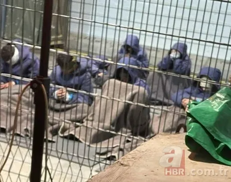 İsrail’de insanlık dışı öneri: Ben-Gvir’den Filistinli tutuklular için timsahlı hapishane 5