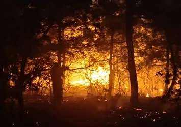 Yıldırım, orman yangınına neden oldu; 2 hektar zarar gördü