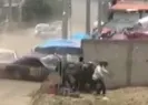 Dehşet anları kamerada!