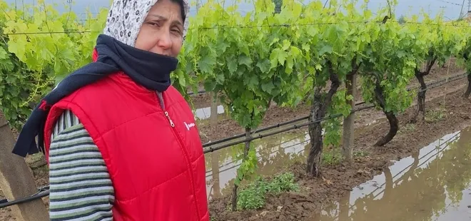 Bahar yağmurları üreticiyi sevindirdi