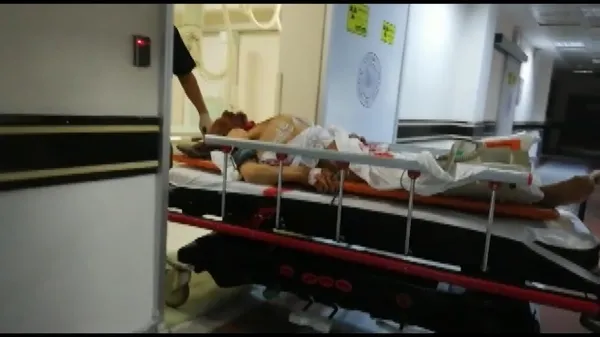 Erzurum'da ayı saldırısı: 1 ölü, 2 yaralı - 1