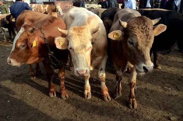 Bayramın 2 - 3 - 4. günü kurban kesilir mi? Kurban en son ne zaman kesilir?