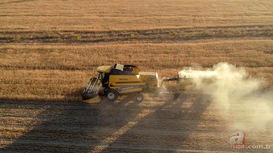 Van'da hububat üretiminde yüzde 75 artış! Sertifikalı tohumla ekim yapılıyor 11