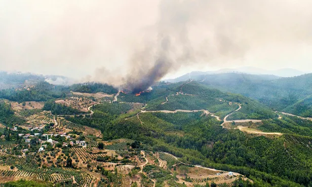 Fidan bağışı nasıl yapılır? TEMA 1 fidan fiyatı kaç TL? Yangın bölgeleri için fidan bağışı nasıl yapılır?