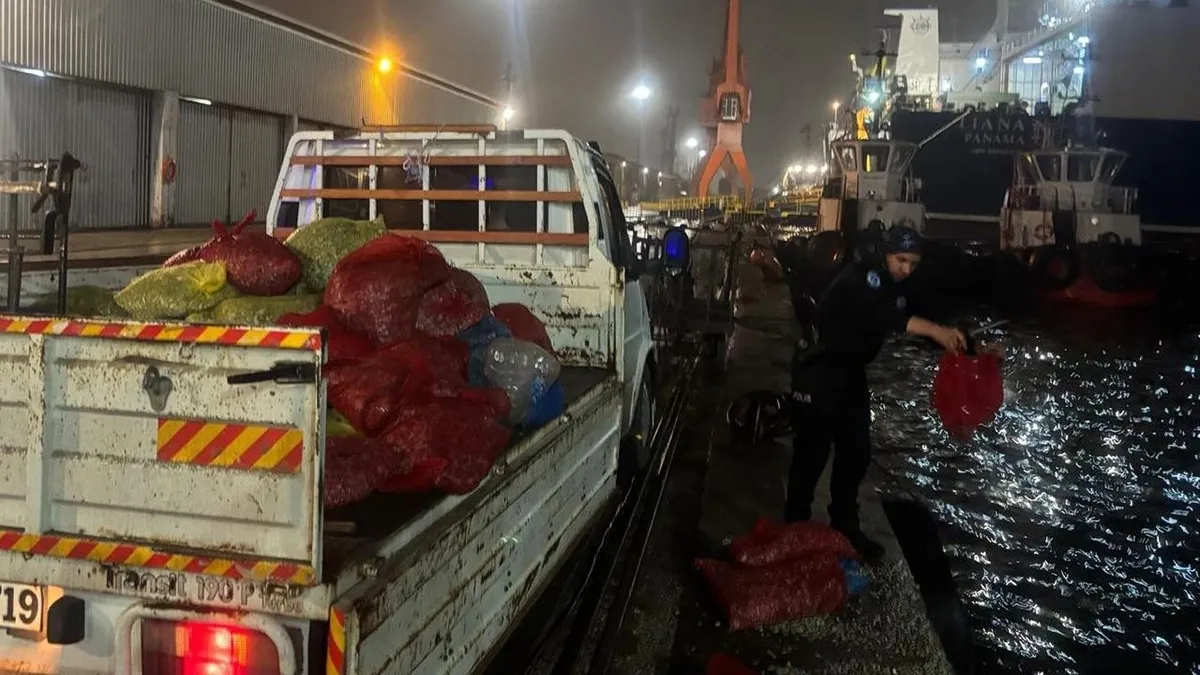 Kaçak avlanan 2 ton midye yeniden denize bırakıldı