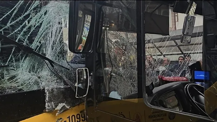 İstanbul'da peş peşe İETT faciası! Kontrolden çıkan araç ormana uçtu