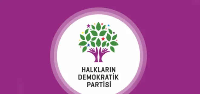 HDP'Lİ İL BAŞKANI TUTUKLANDI
