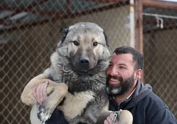Kangallar sıcakta yaşayabilir mi?