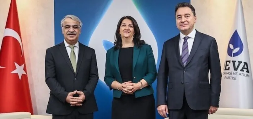 Deva Partisi'nden ihraç edilen Musa Malik Yıldırım'dan Babacan itirafı: Kendini HDP'nin 3. genel başkanı zannediyor