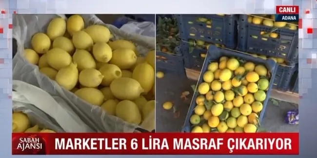 limonun-kilosu-halde-25-kurusa-dustu-marketler-6-lira-masraf-cikariyor-1636697775527.jpg