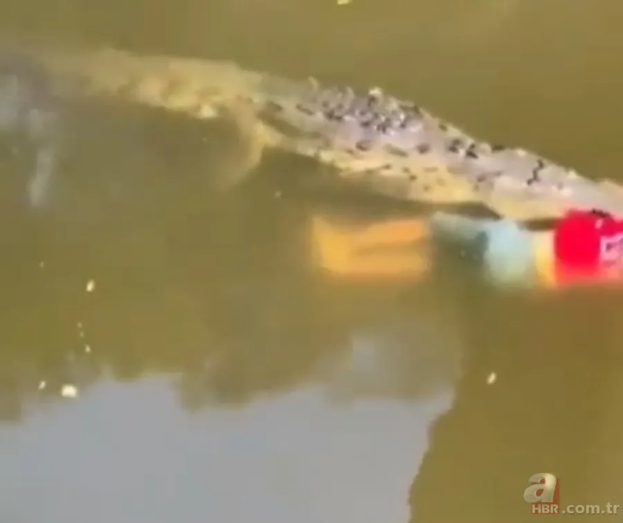 Gören şoke oldu! O ilimizde görüntülendi 5