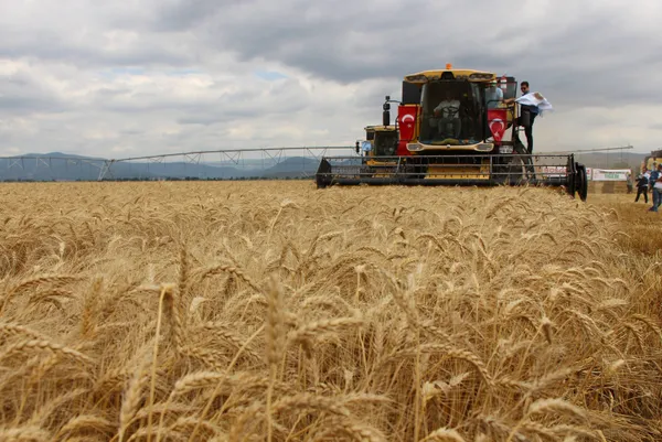 ABD İstanbul Anlaşması’na alternatif arayışında: Tahılın kara yoluyla sevki için çalışıyorlar