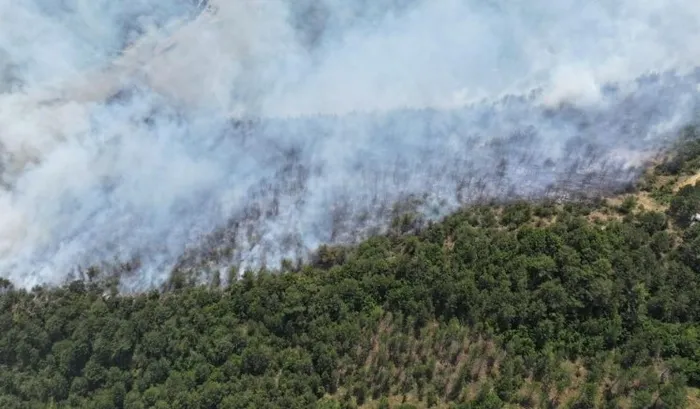 karabukte-orman-yangini-havadan-ve-karadan-mudahale-suruyor-msbden-sondurme-calismalarina-destek-1720109418356.jpg Karabük'te orman yangını! Havadan ve karadan müdahale ile alevler kontrol altında