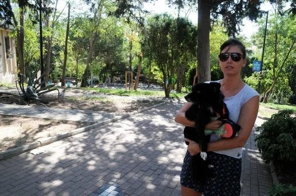 CHP’li Beşiktaş Belediyesi Abbasağa’da ağaç kıyımına devam ediyor!