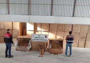 İzmir'de 6 ton kaçak tütün ele geçirildi