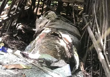 Bu ülkede ölüler gömülmüyor! Ürpertici fotoğraflar +18