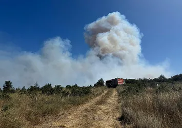 Silivri'de ormanlık alanda yangın! Alevler kontrol altına alındı