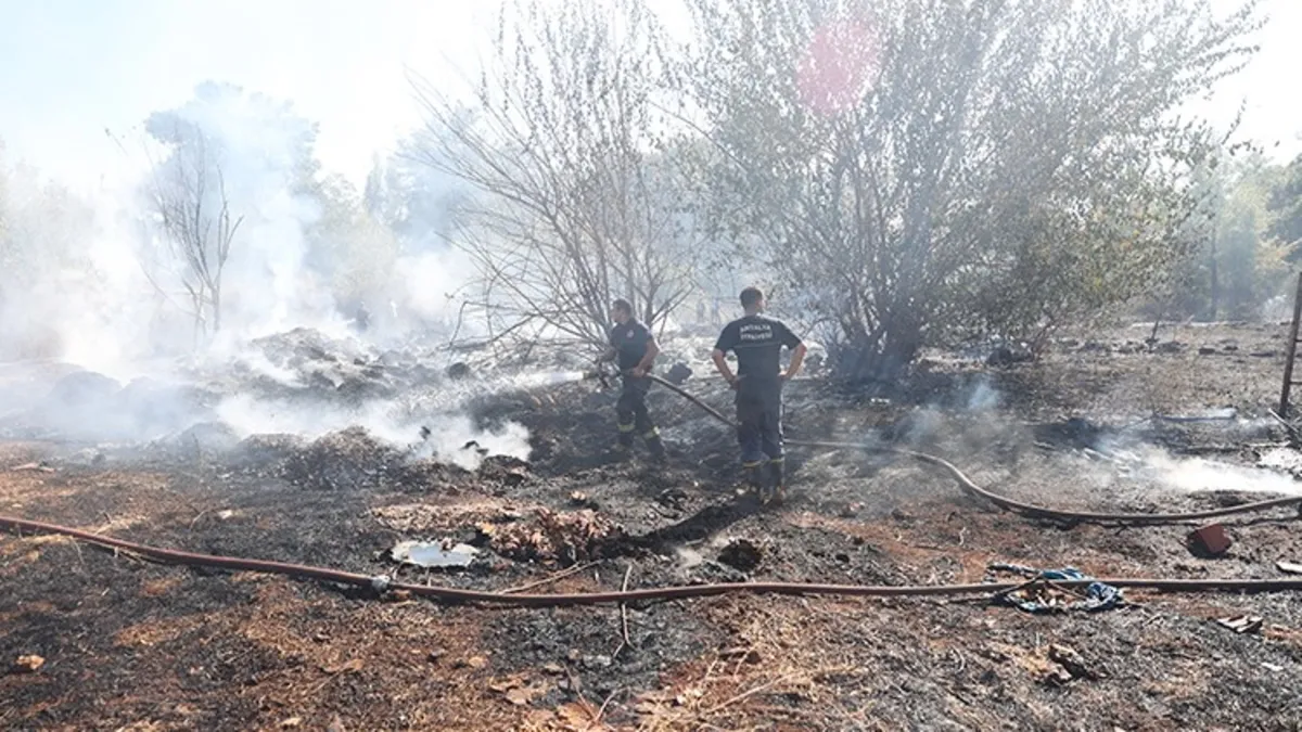 Ot yangını 2 dönüm alana zarar verdi