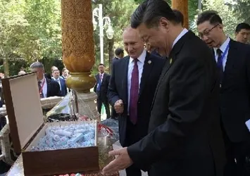 Putin'den Çin liderine doğum günü hediyesi!