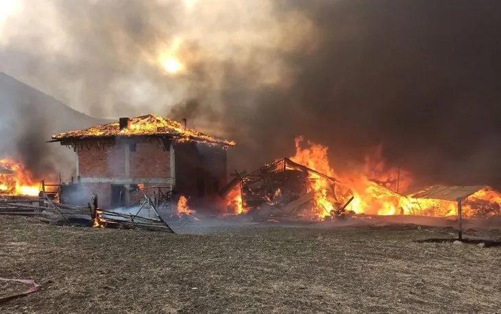 Kastamonu’da feci yangın! 15 ev alevlere teslim oldu! Köyde korkunç manzara