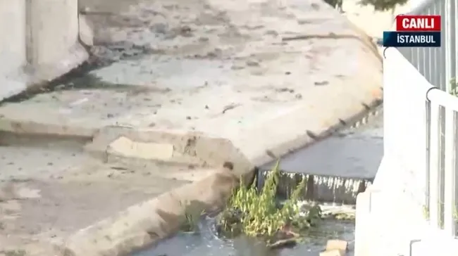 Derede kimyasal atık tehlikesi! İSKİ’nin ıslah çalışması yaptığı dere simsiyah akıyor