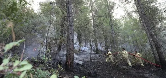 Burdur’da orman yangını 6 saatte kontrol altına alındı