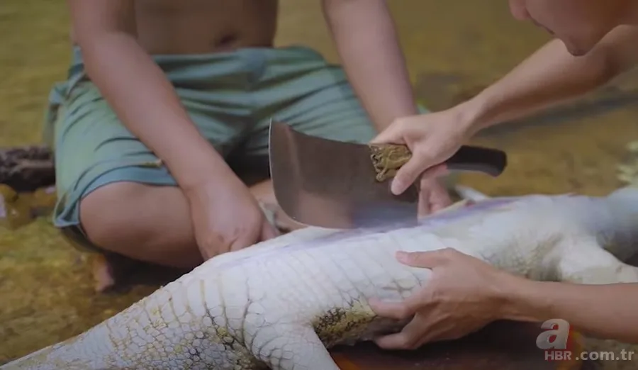 Hayatta kalmak için avladıkları timsahın karnından çıkanlar şoke etti! Mide bulandıran görüntü 19