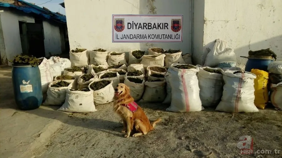 Diyarbakır'da PKK'nın 'bombalı saldırı'da kullanacağı 5 araç ele geçirildi 10