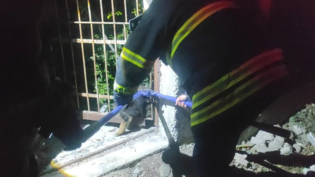 Demir korkuluklara sıkışan yavru köpek itfaiye ekiplerince kurtarıldı