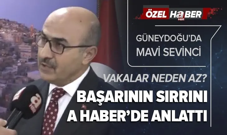 Son dakika: Güneydoğu'da mavi sevinci! Başarının sırrını Mardin Valisi Mahmut Demirtaş A Haber'de anlattı