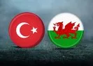 Türkiye-Galler maçı hangi kanalda?