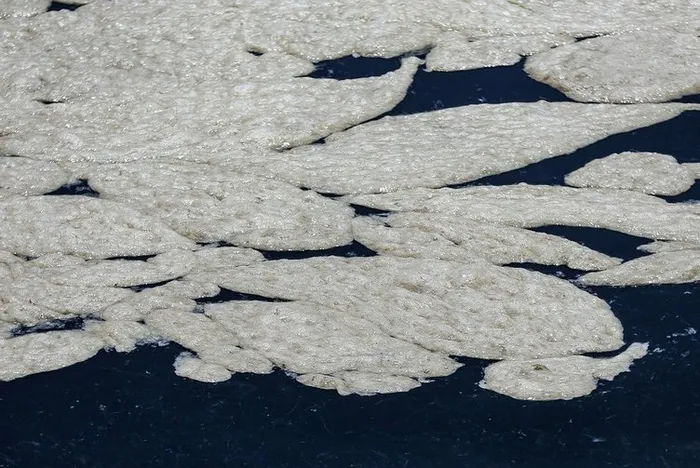 Son dakika: İBB’nin ihmali müsilaj felaketine davetiye çıkardı: Haliç de gidici!