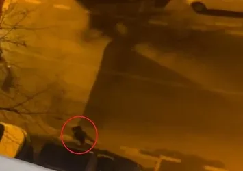 "Gel lan buraya" diyerek kovaladı kurşun yağdırdı! Dehşet anları kamerada
