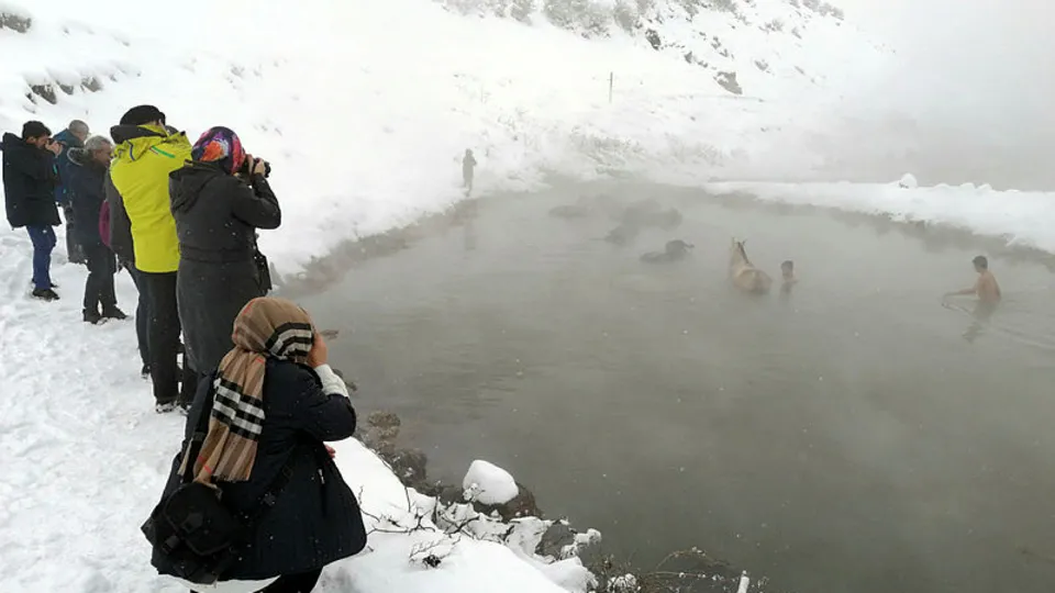 Görenler telefonuna sarıldı! İşte mandaların kaplıca keyfi |Video