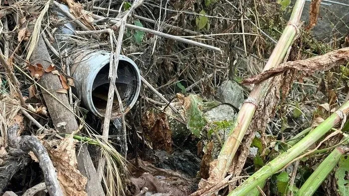 Kanalizasyon Meriç Nehri'ne bağlanmış! Edirne Belediyesi'nin gözü önünde skandal olay - 2