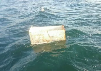 Denizden çıkanlar şoke etti!