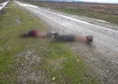 Rakamlarla Yunan zulmü!