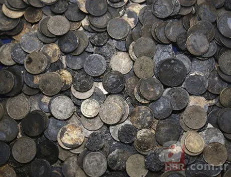 Karaya vuran balinanın karnından öyle bir şey çıktı ki... Akılalmaz olay 8