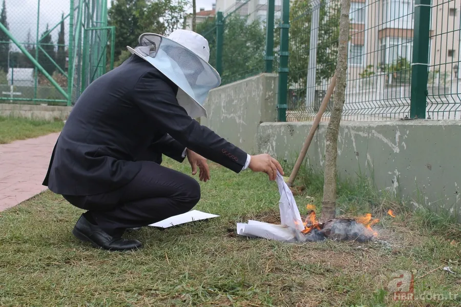 Okul bahçesinde yuva yapan arılar öğrencilere saldırdı 4