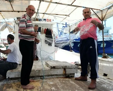 Akdeniz'i istila eden balon balıkları, tatilcileri de korkutuyor - 2