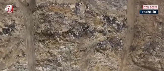 dunyanin-en-buyuk-2-nadir-elemen-rezervi-toryum-rezervinin-degeri-120-trilyon-dolar-1656568633028.jpg Dünyanın en büyük 2. nadir element rezervi! Toryum rezervinin değeri 120 trilyon dolar - 1