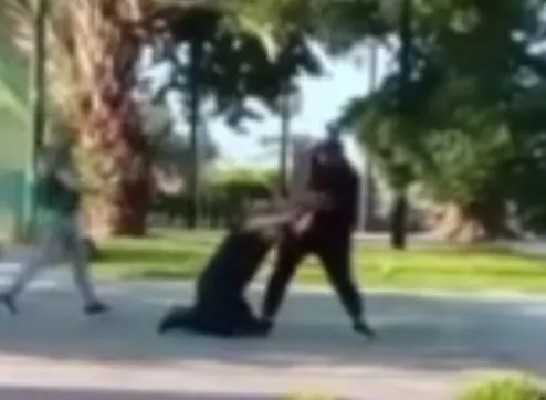 antalyada-sokagi-box-ringe-cevirdiler-iki-gencin-kavgasi-boyle-goruntulendi-1660915047531.jpg Antalya’da sokağı box ringe çevirdiler! İki gencin kavgası böyle görüntülendi - 1