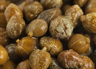 Kaparinin faydaları