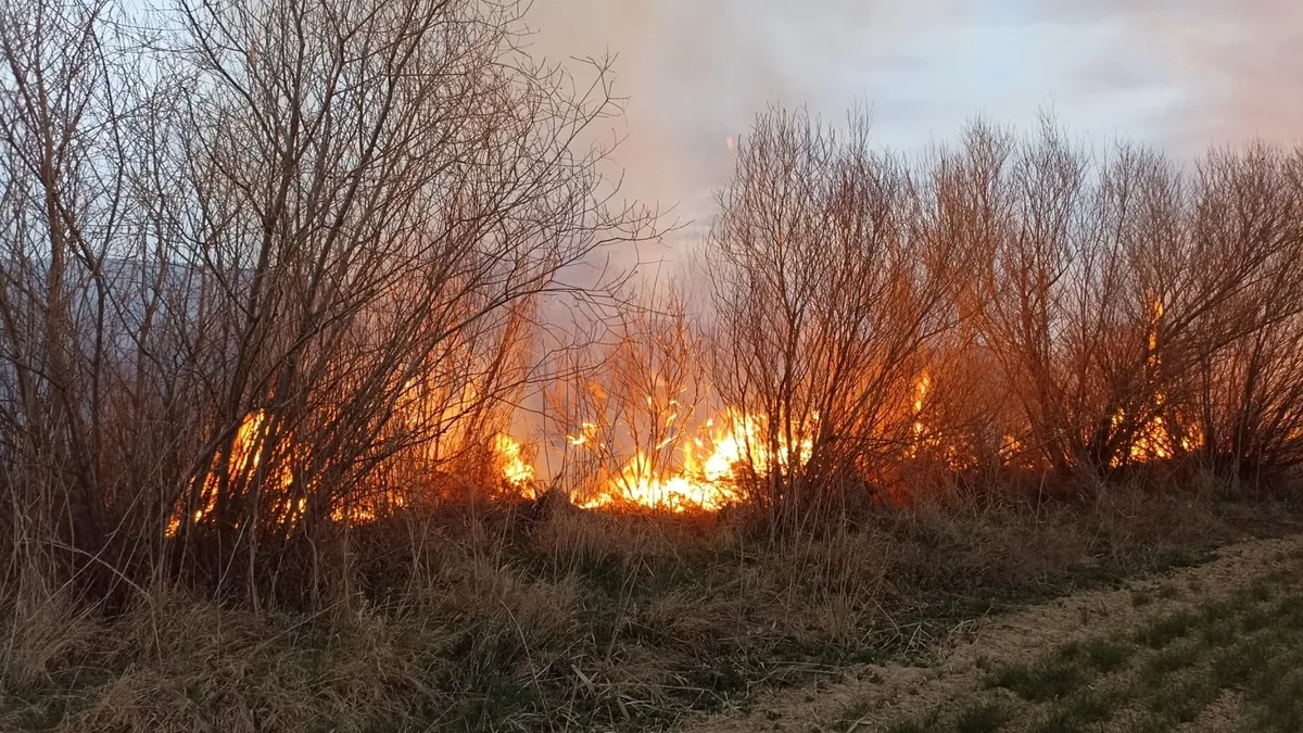 Darende'de iki farklı noktada bahçe yangını söndürüldü