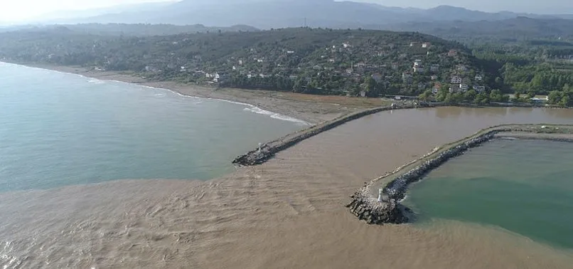 Düzce Akçakoca'da şaşırtan görüntü!