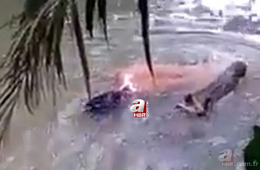 Gören şoke oldu! O ilimizde görüntülendi 38