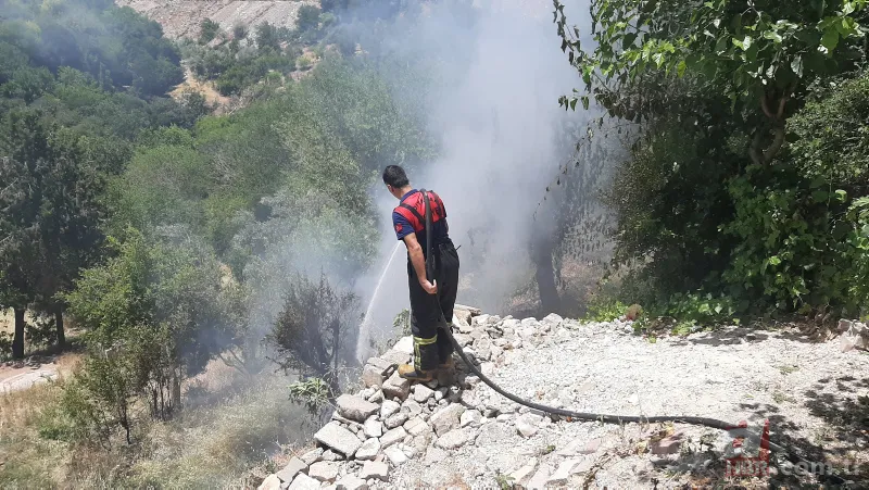 Sokakta korku dolu anlar! Yılan paniği ekipleri harekete geçirdi 8